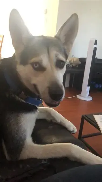 Precious