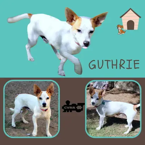 Guthrie