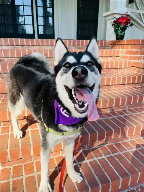 Mia