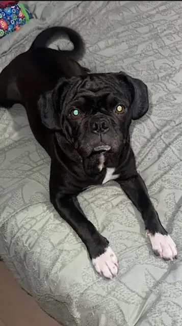 Freya