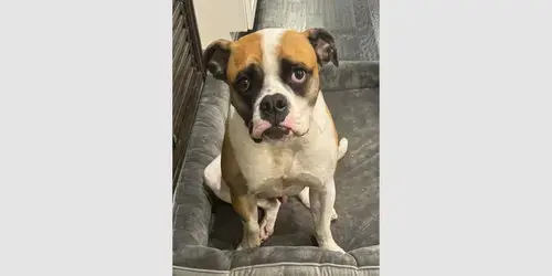 Bingo