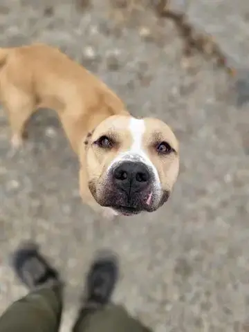 Arlo