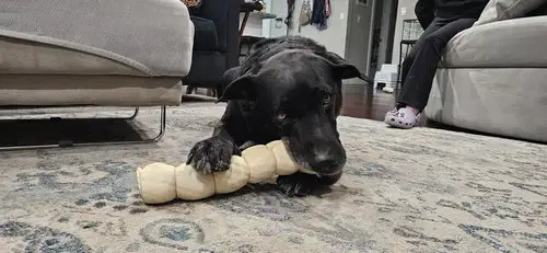 Courtesy Post: Duke