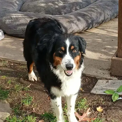 Mama Maggie