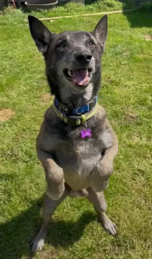 Clyde- Located In Oklahoma