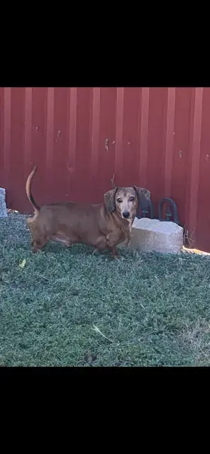 Spencer