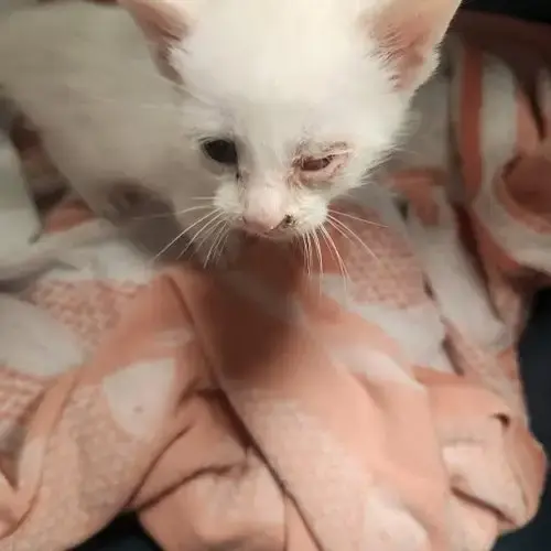 *Snuggles