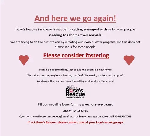 **Fosters Needed!