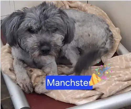 Manchester