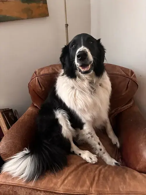 Casey **Courtesy Post**