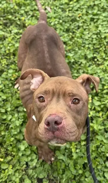 Coco