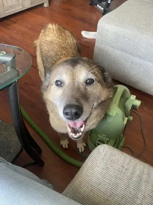 Tank
