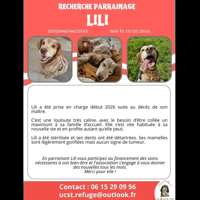 Lili