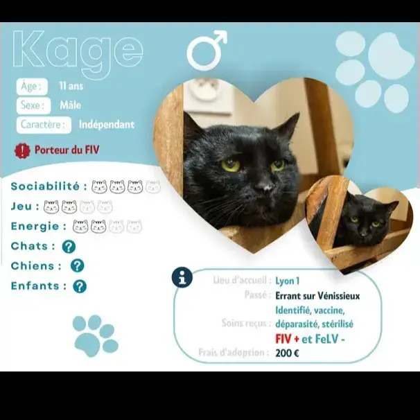 Kage