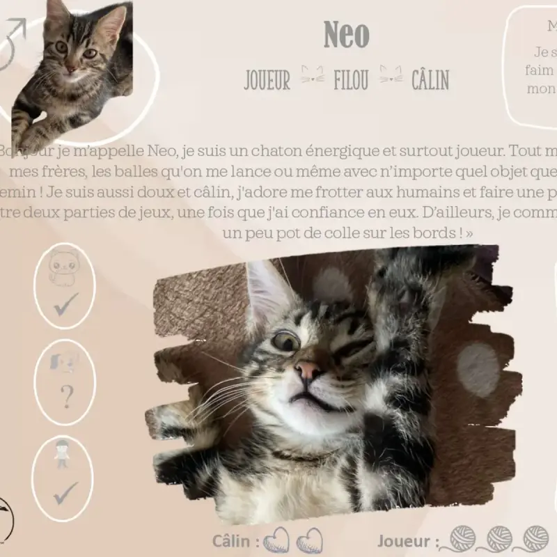 Neo