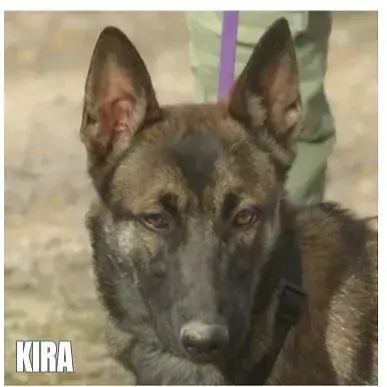 Kira