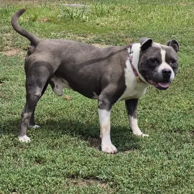 Psyko