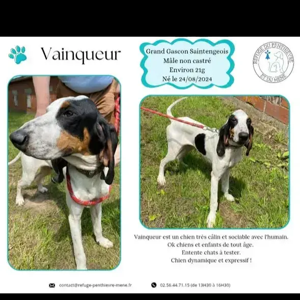 Vainqueur