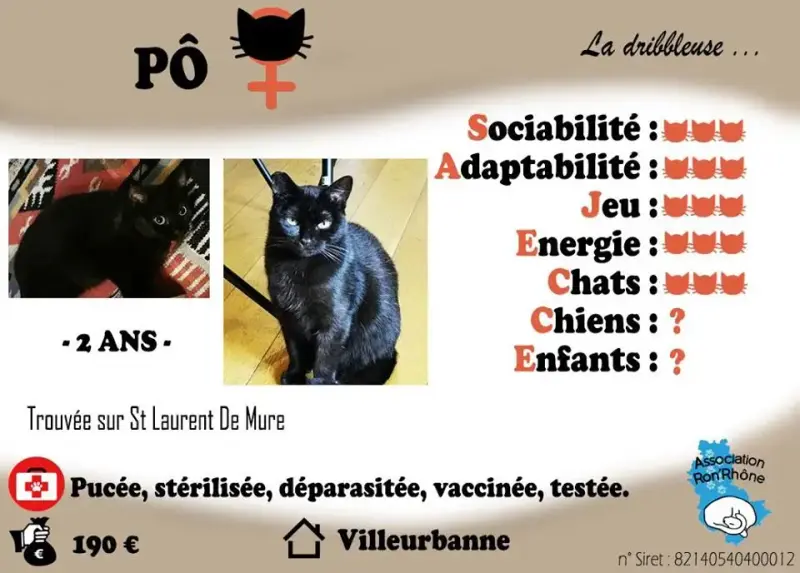 Pô