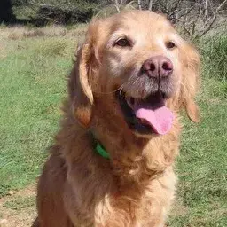 Tina