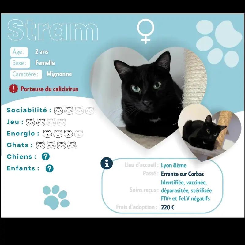 Stram