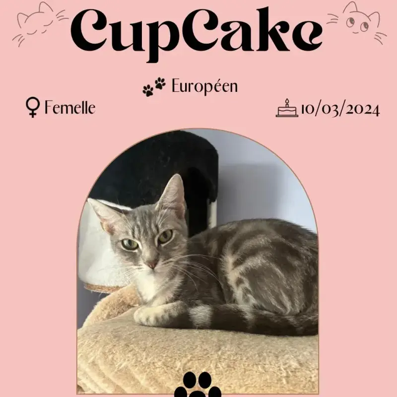 Cupcake