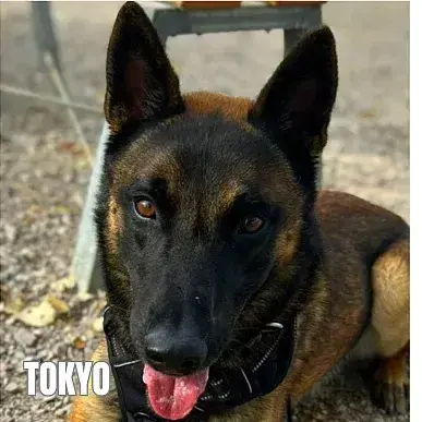 Tokyo