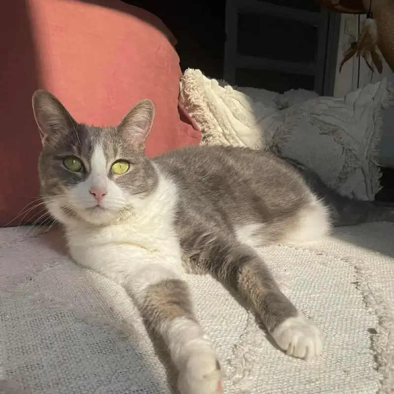 Mélie