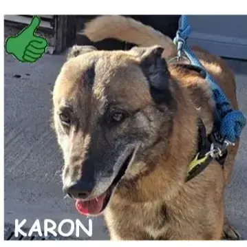 Karon