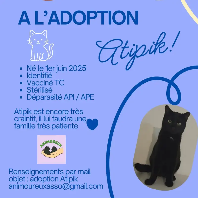 Atipik