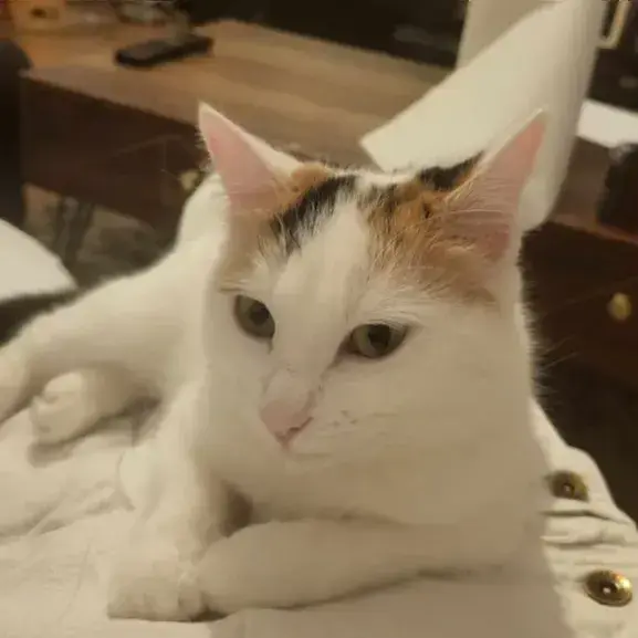 Eléanore