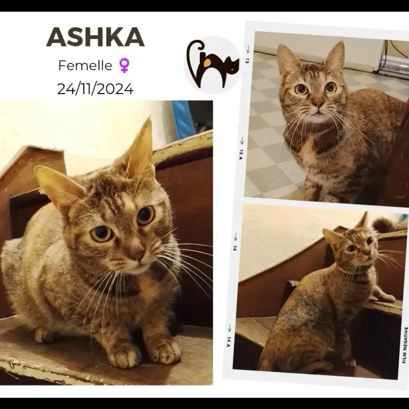 Ashka