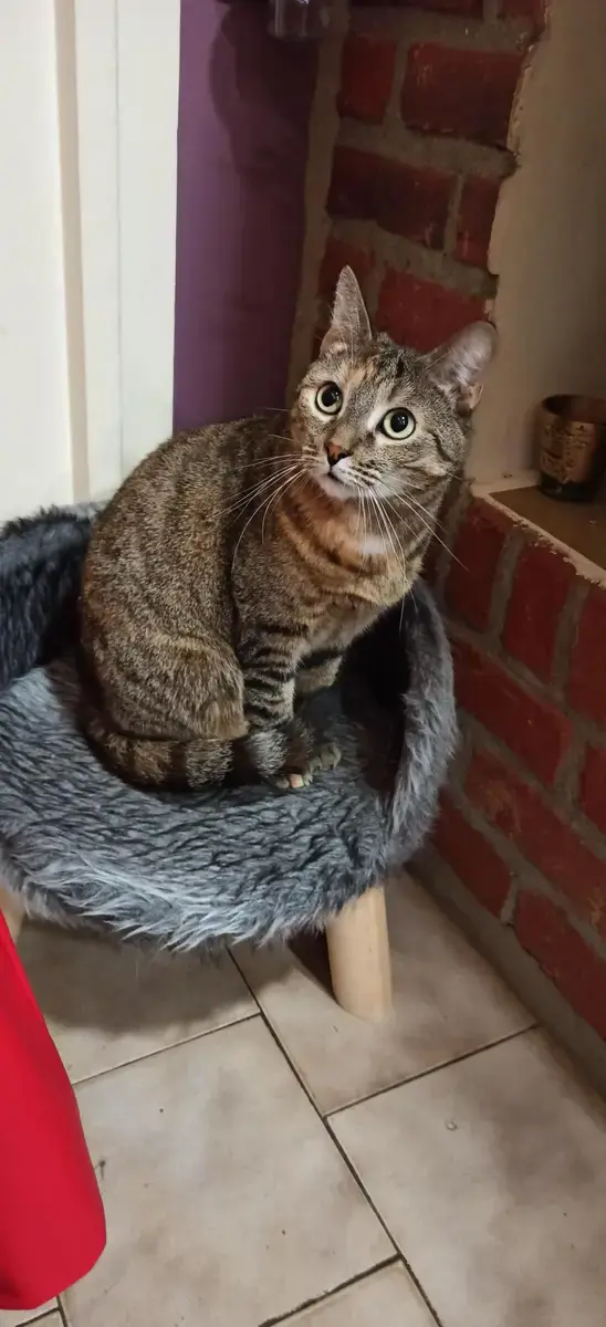 Nótt