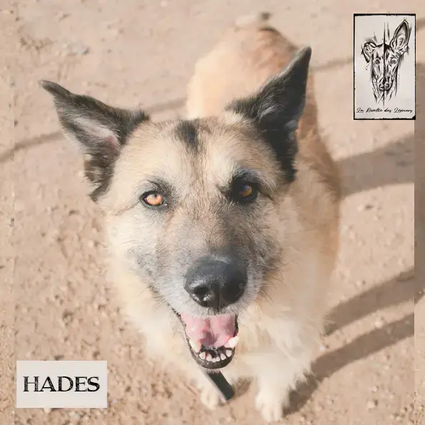 Hades