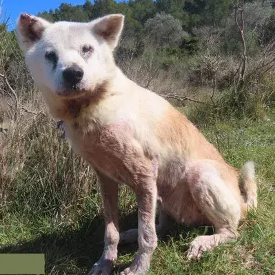 Kita