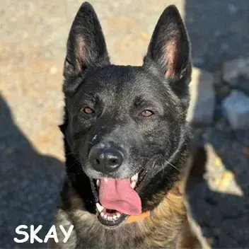 Skay