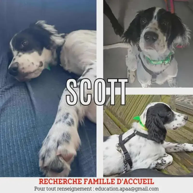 Scott