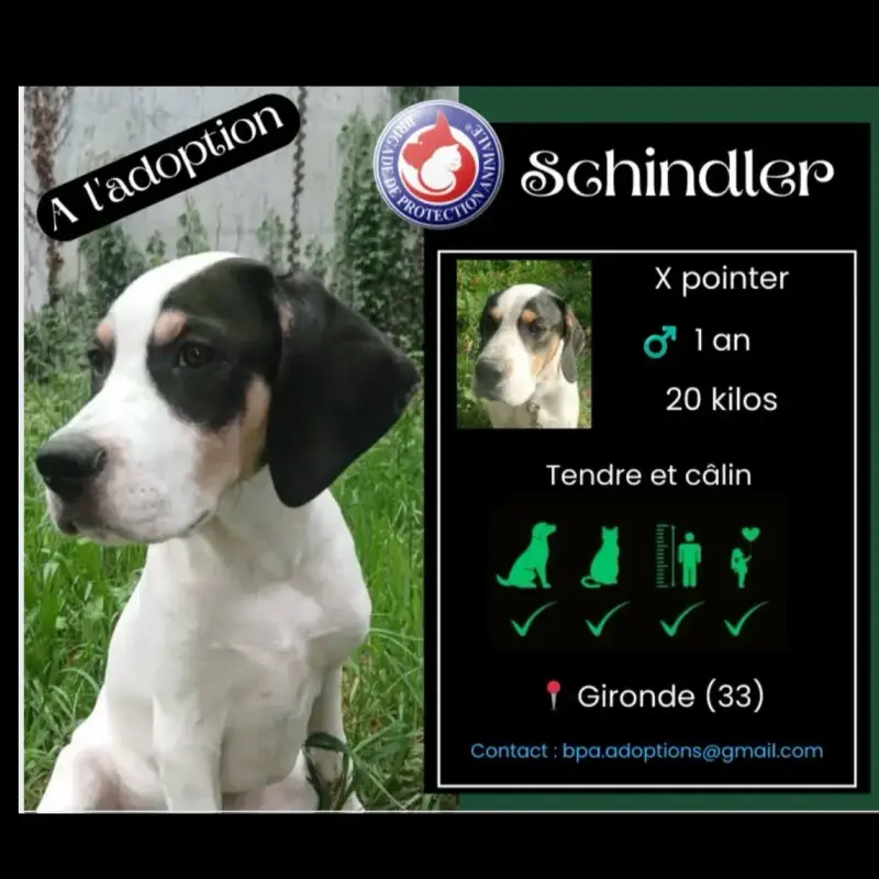 Schindler