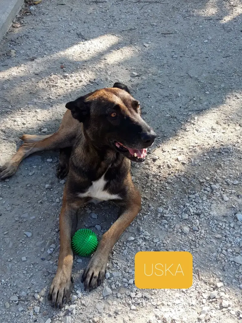 Uska