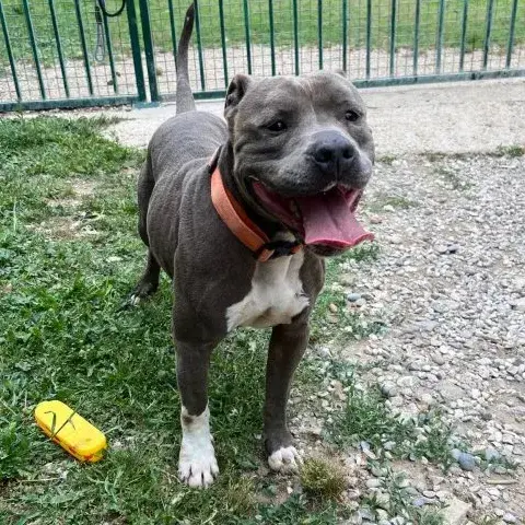 Xena