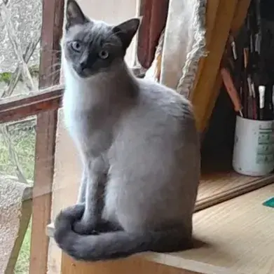 Yumi