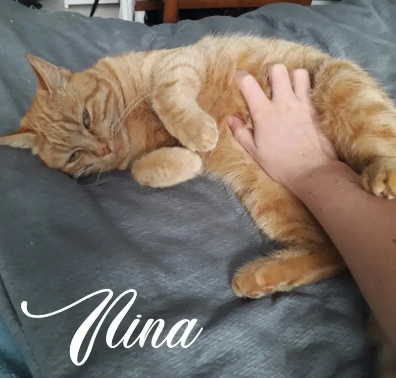 Nina
