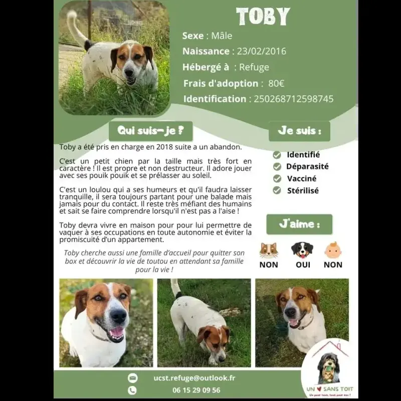 Toby