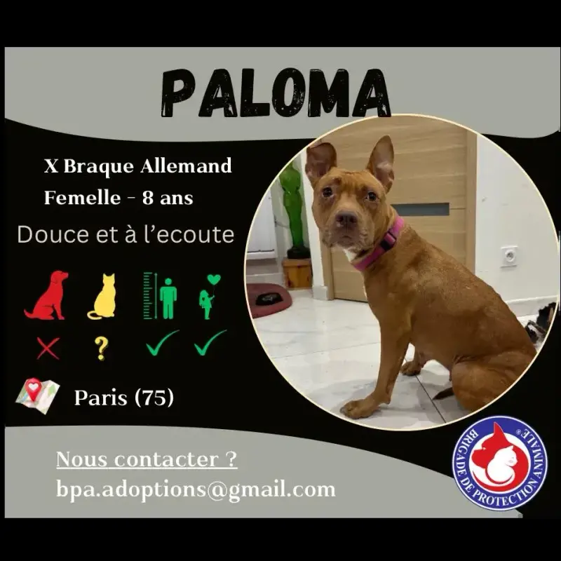 Paloma