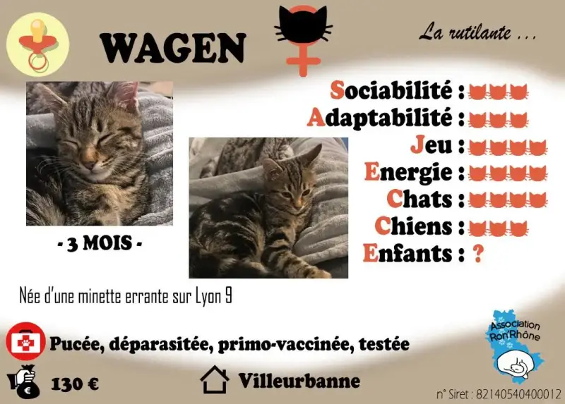 Wagen
