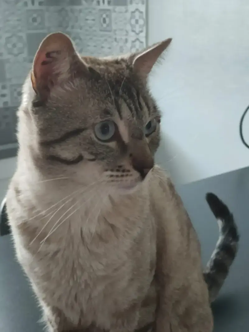 Oskar