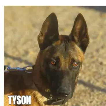 Tyson