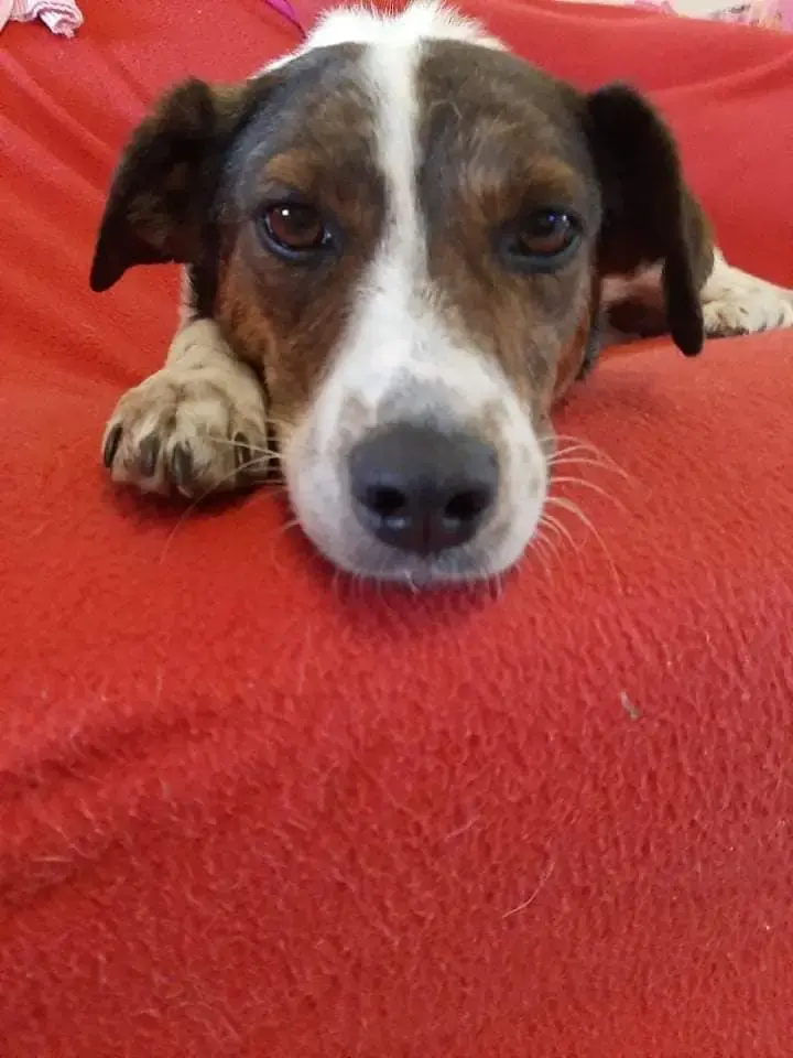 Bella