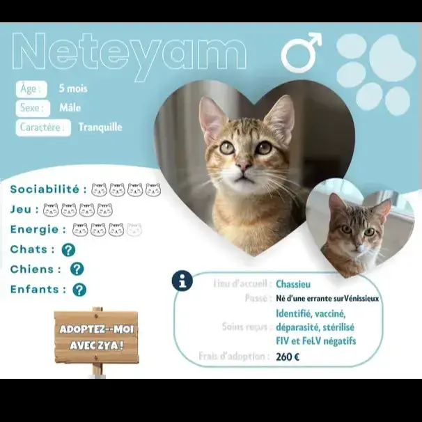 Neteyam