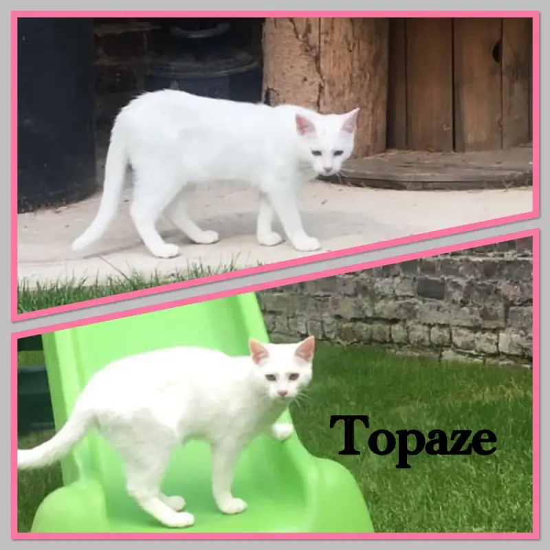 Topaze